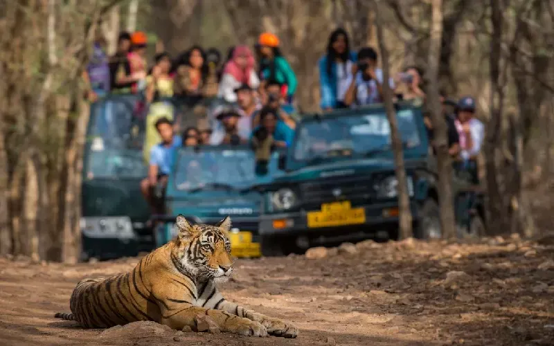 Triangolo d'oro dell'India e Ranthambore 